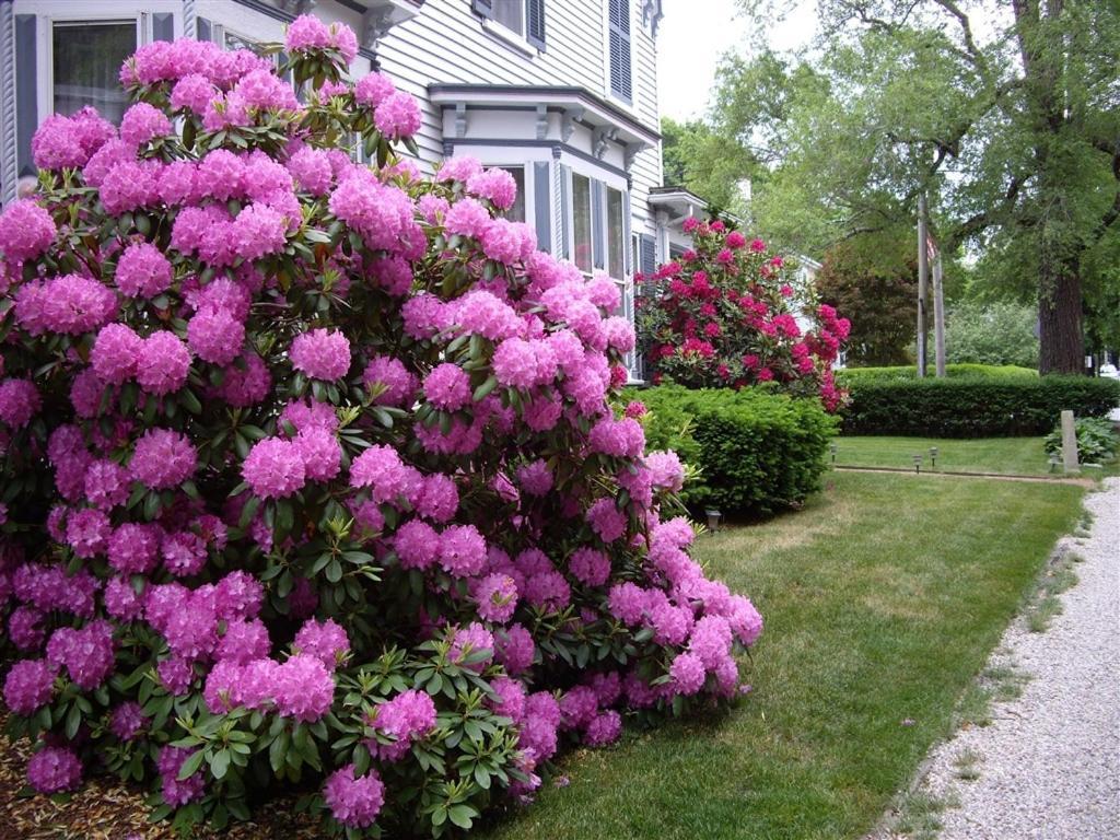 Isaiah Jones Homestead Bed And Breakfast Sandwich Exteriör bild